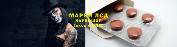ешки Аркадак