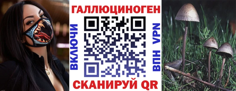 Псилоцибиновые грибы мухоморы площадка формула Моздок магазин