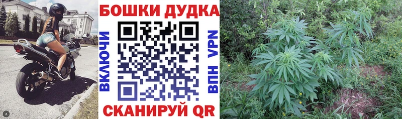 купить наркотики сайты  Моздок  МАРИХУАНА план 